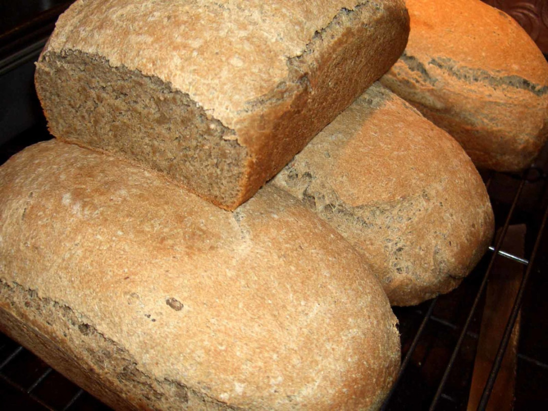 Ezekiel Bread (Ezekiel :) Ezekiel Bread (Ezekiel :)
